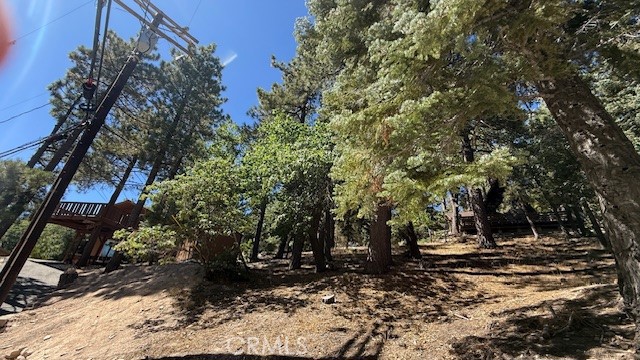 33112 Juniper Lane