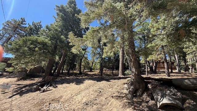 33112 Juniper Lane