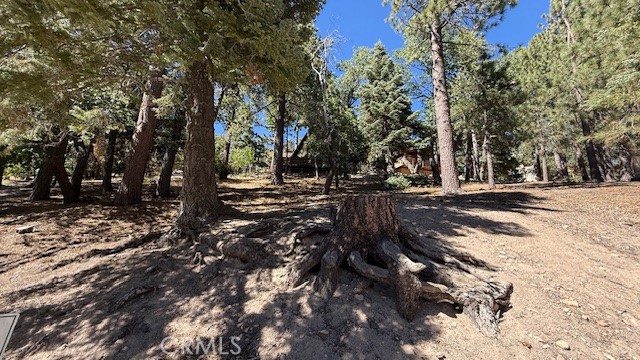 33112 Juniper Lane