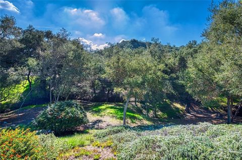 66 Mesquite Trabuco Canyon CA 92679