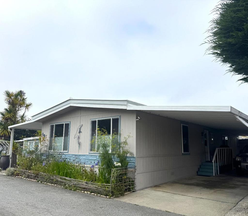 15 Dolphin Court