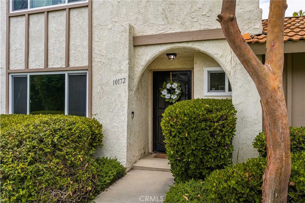 10172 Cabo Drive