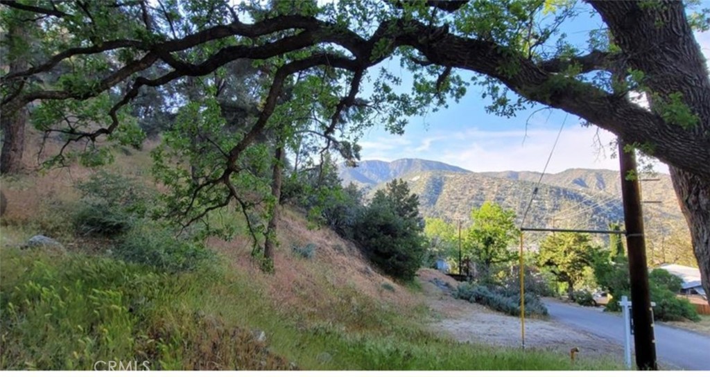 This vacant lot is located in the desirable shady side of the Greater Frazier Mountains, up the street from the park and the public library, off a paved road, breathtaking views, four mild season, plenty of outdoor activities on your back yard, if you are a nature loving, bring your dream home footprints and make real!! APN#260-138-13-00-8 is also included on the sale to make a total of 6,105. SQFT property.