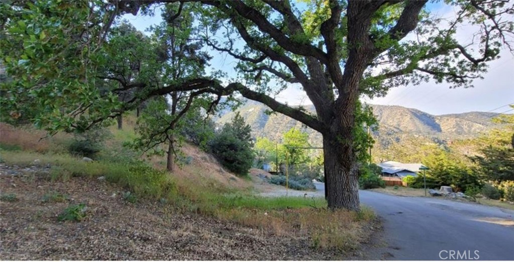 0 Pine Canyon