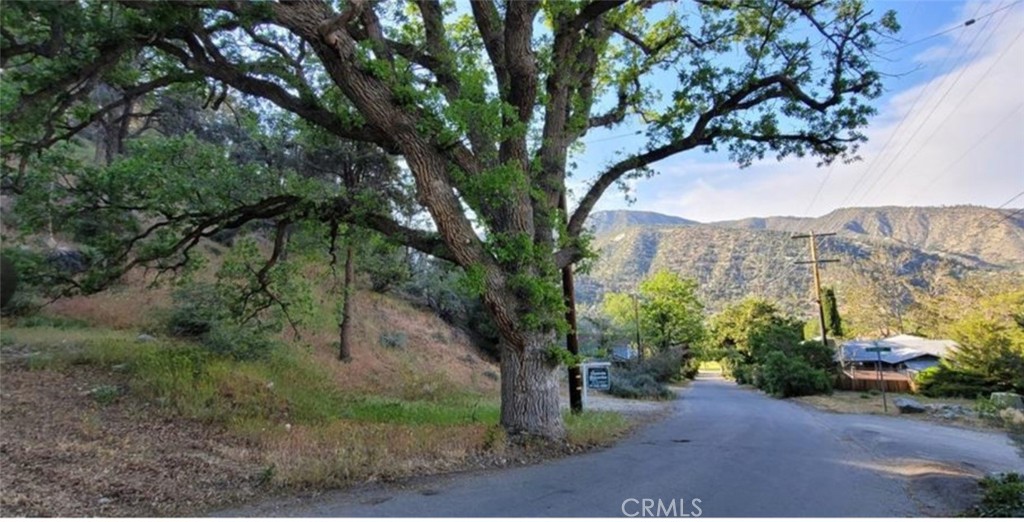 0 Pine Canyon