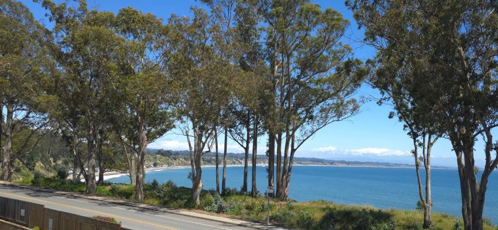 If you want incredible views then look no further! The Amazing Views from this unit will blow you away! Welcome to your coastal retreat at 815 Balboa Avenue, Unit 206 in Capitola! This charming 2-bedroom, 1.5 bathroom condo is perfect for those seeking a laid-back beach lifestyle. Step inside and be greeted by an open and airy layout, where natural light pours in, highlighting the amazing ocean views that are sure to take your breath away. Imagine sipping your morning coffee or enjoying a glass of wine on your private balcony while soaking in the stunning ocean vistas. Located just a short 6 minute bike ride or 18 minute stroll to the Esplanade. You'll have easy access to local shops, dining, and the beach. Don't miss this opportunity to own a piece of paradise in Capitola! Both bathrooms have been recently updated as well as fresh paint inside.