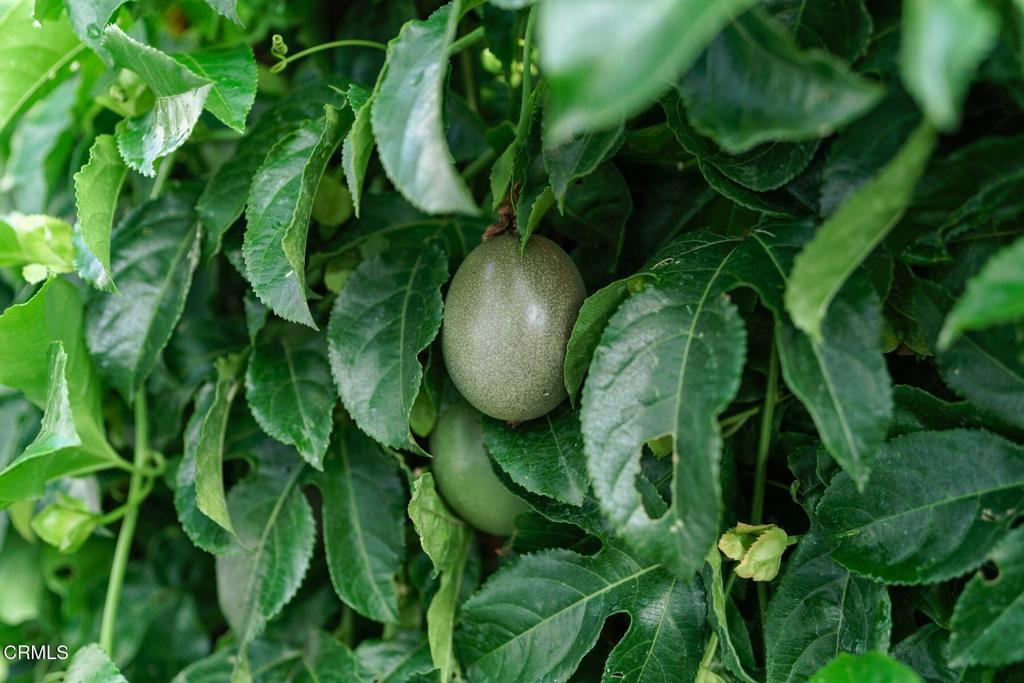 Marina Park MHP - 0294 - Manufactured In Park