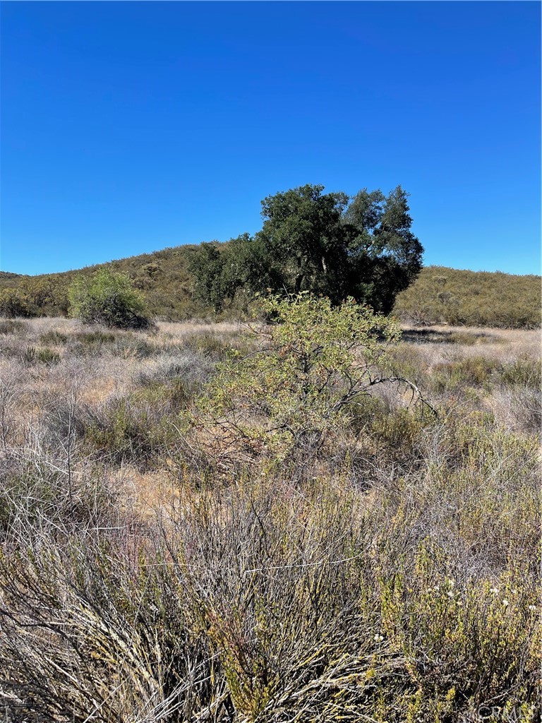 Gentle rolling 7.50 acre that's perfect for custom/ manufactured home, near Temecula Valley Vineyards & Wineries, close to Lake Skinner, Diamond Valley Lake, Pechanga Casino, and much more. Coleman & Stier Street need some work.