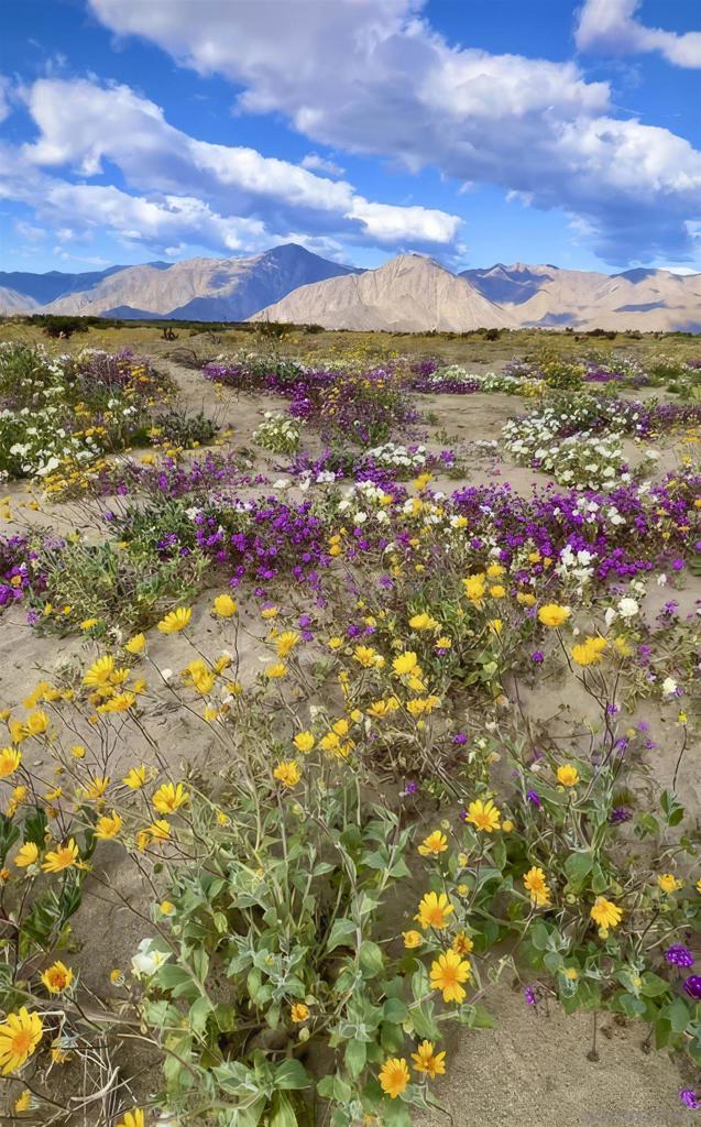 1634 Las Casitas Drive