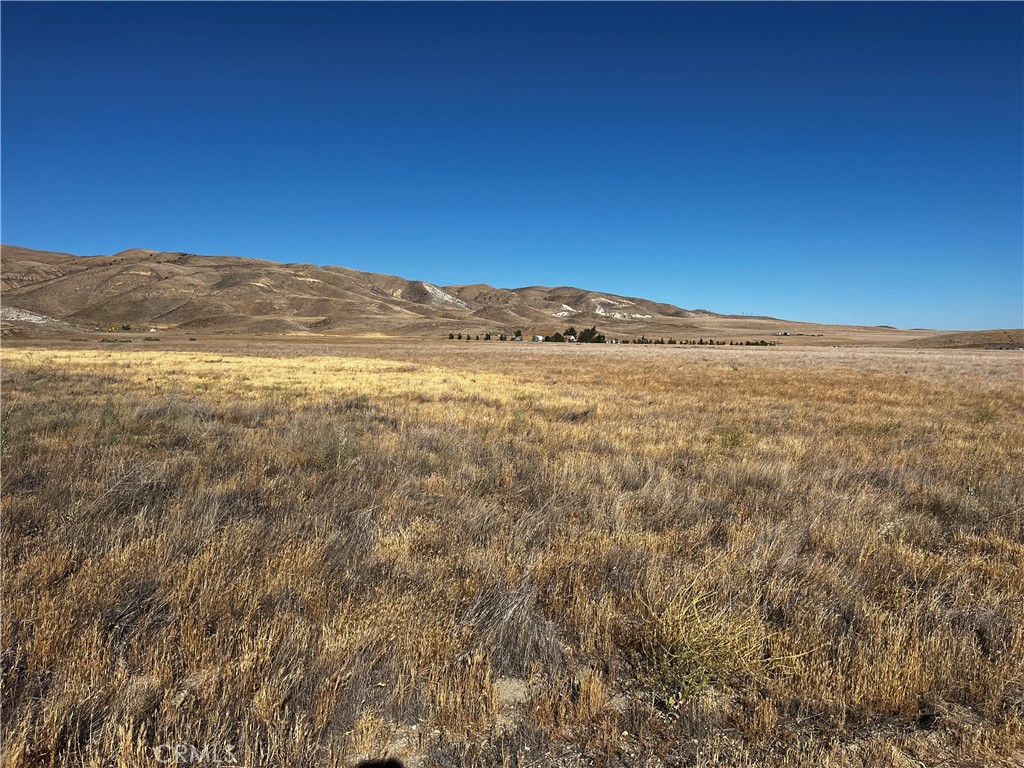 Carrizo Plains/California Valley(62) - Land
