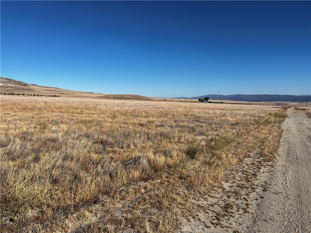 Carrizo Plains/California Valley(62) - Land