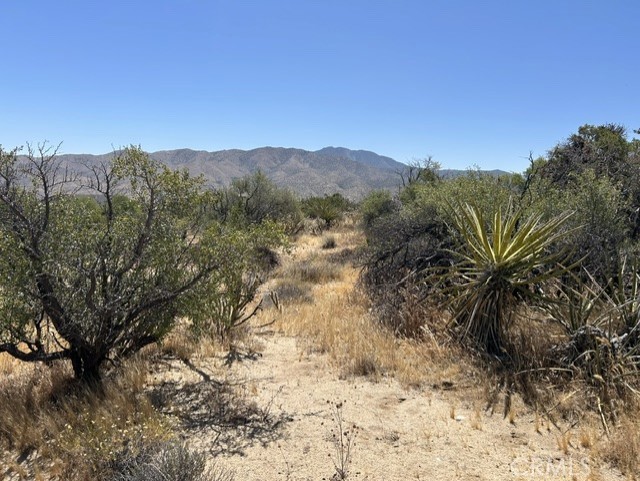 7 Carrizo Road