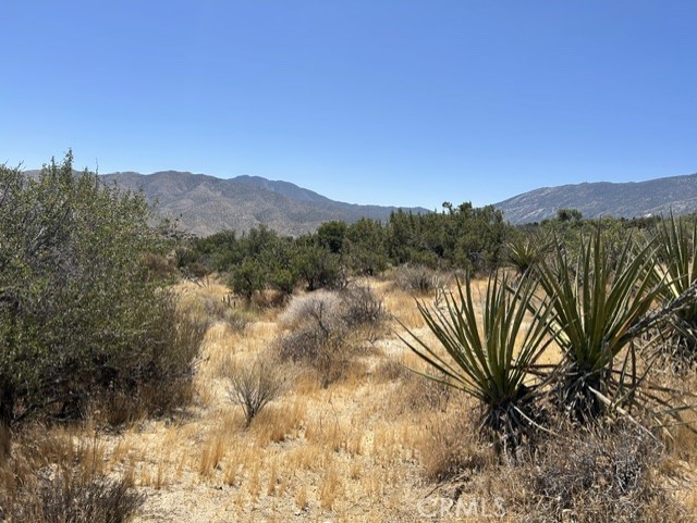 7 Carrizo Road