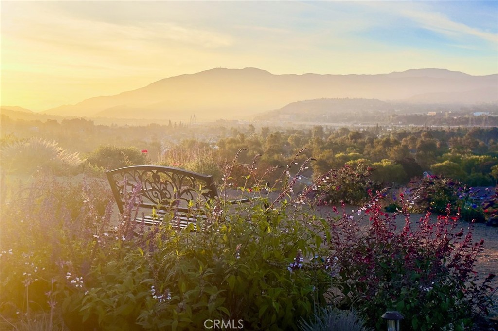 Semi-Custom Single Story Estate - Residential