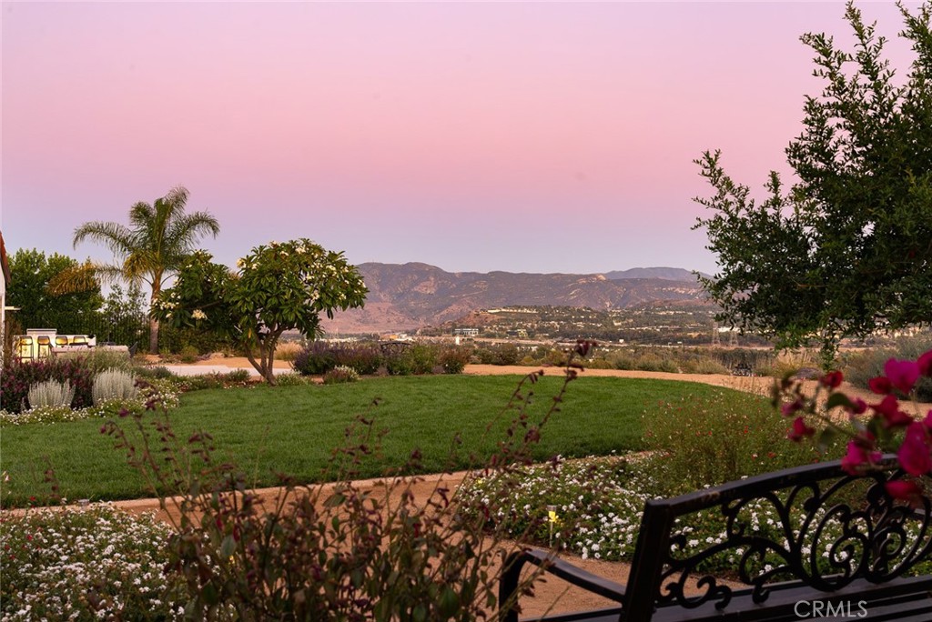 Semi-Custom Single Story Estate - Residential