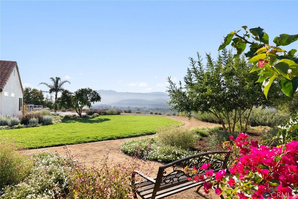 Semi-Custom Single Story Estate - Residential