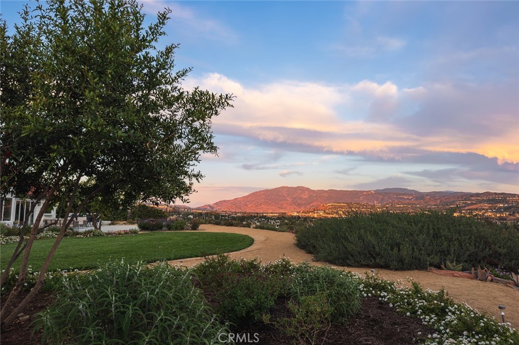 Semi-Custom Single Story Estate - Residential