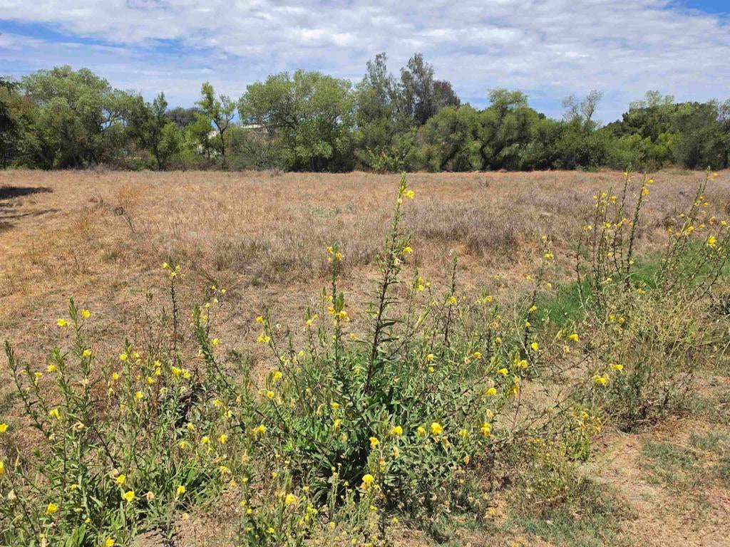 1.41 acres Durgin Street