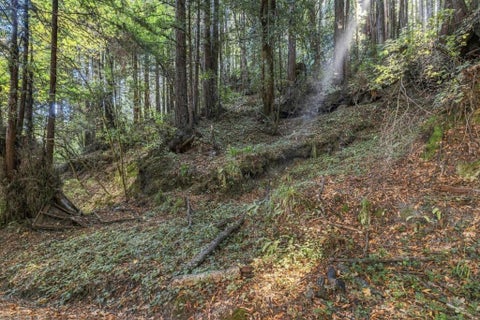 Photo of 1 Pringle, Soquel, CA 95073 (MLS # ML82061525)