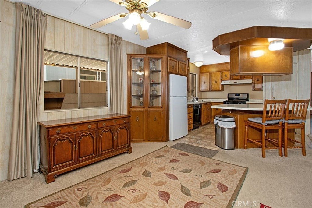 30751 Paradise Palm
