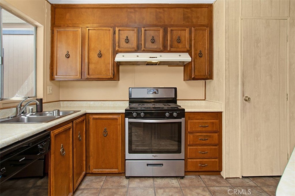 30751 Paradise Palm