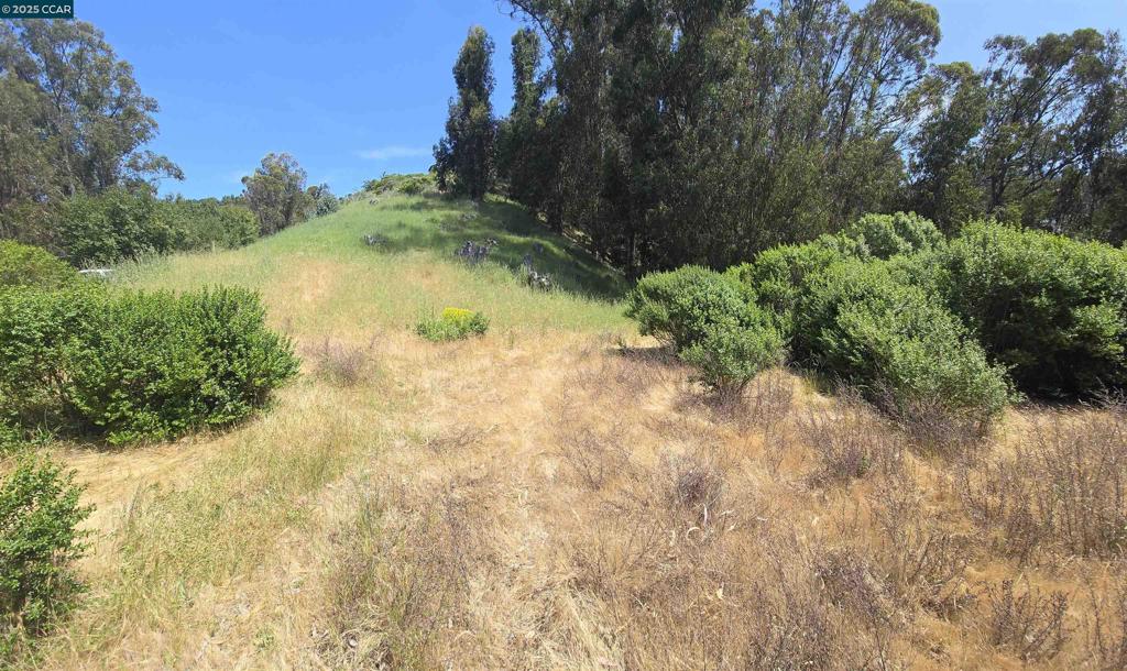 MONTCLAIR - Land