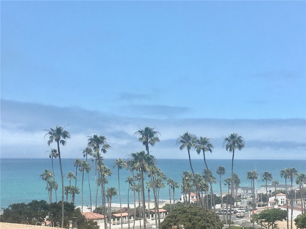BLUFFS - Residential Lease