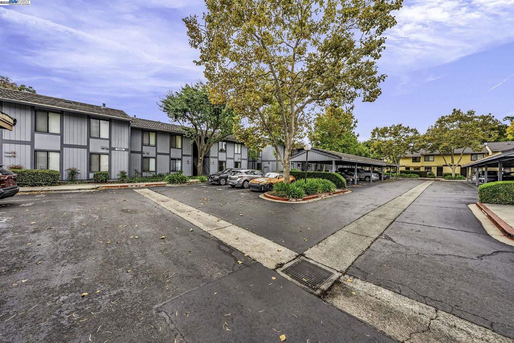NEWPARK VILLAGE - Residential