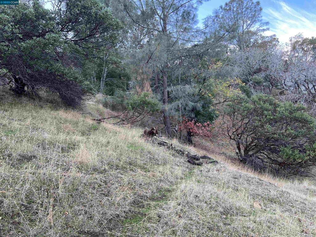 196 Country Club Lane