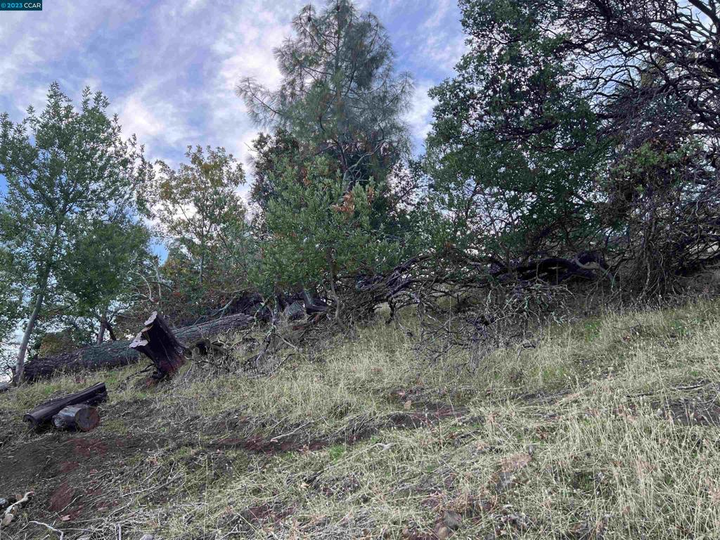 196 Country Club Lane