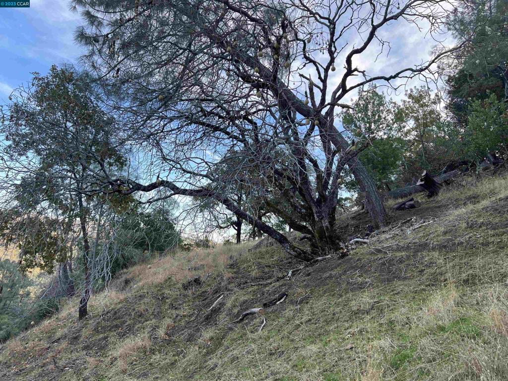 196 Country Club Lane