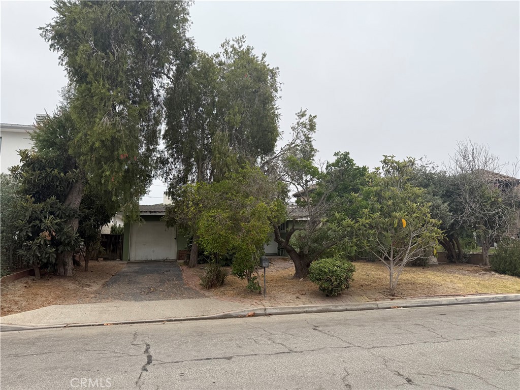 2427 Margaret Drive