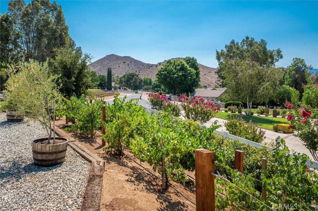 3627 Spanish Bit Drive