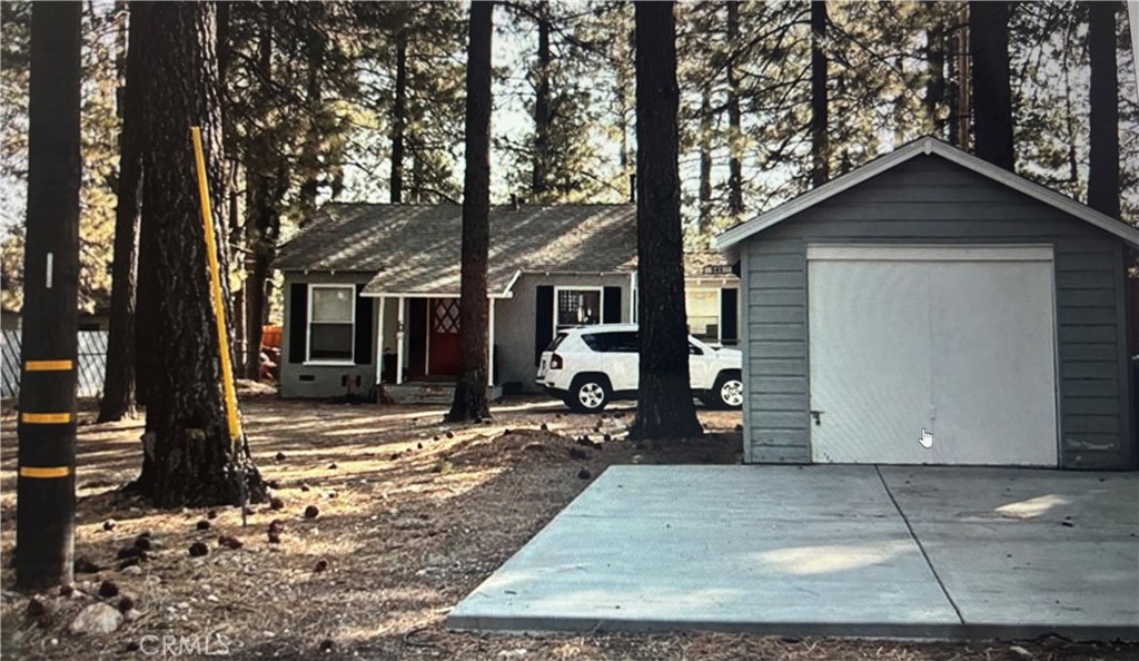 541 Timber