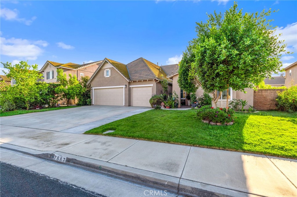 7887 Withers Way