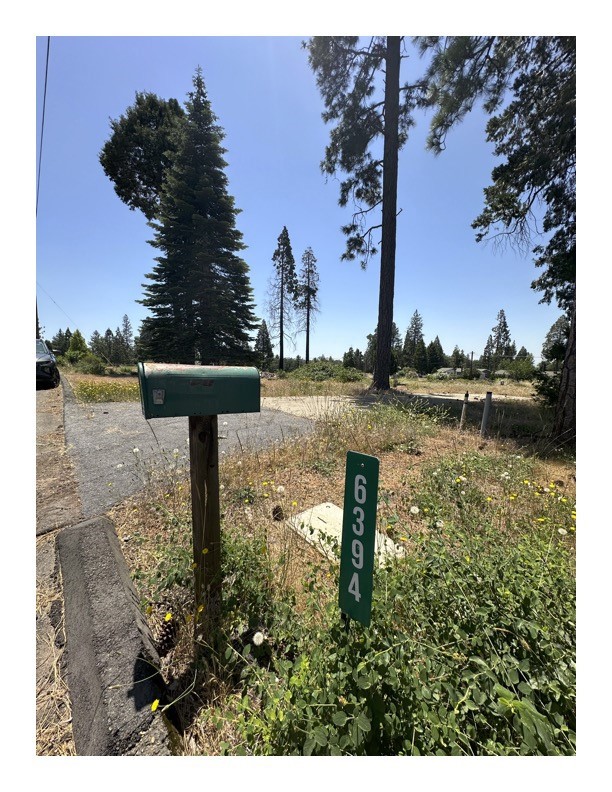 Welcome to Calvin Drive! Featuring beautiful cedar and pine trees offering shade and tranquility in lower Magalia.
This great location is close to shopping and the new Magalia Community Disc golf course!
As part of the Paradise Pines Homeowners Association (PPOA), you have access to many amenities, including use of the community swimming pool,
hot tub, tennis and bocce ball courts, playgrounds, hiking trails, community recreation center and so much more!
This property is flat and ready for a new chapter, your new home belongs here.
Don't miss out on this great location, drive by and check it out!