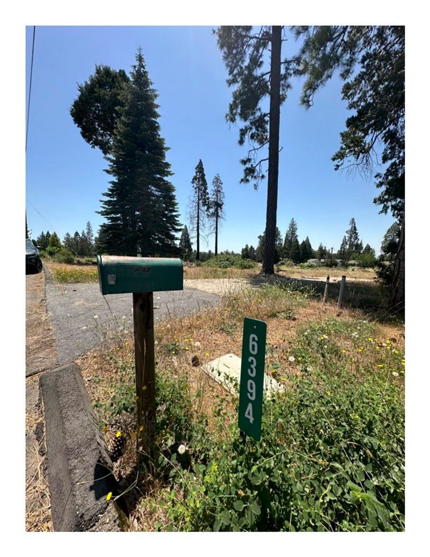 Welcome to Calvin Drive! Featuring beautiful cedar and pine trees offering shade and tranquility in lower Magalia.
This great location is close to shopping and the new Magalia Community Disc golf course!
As part of the Paradise Pines Homeowners Association (PPOA), you have access to many amenities, including use of the community swimming pool, 
hot tub, tennis and bocce ball courts, playgrounds, hiking trails, community recreation center and so much more!
This property is flat and ready for a new chapter, your new home belongs here. 
Don't miss out on this great location, drive by and check it out!