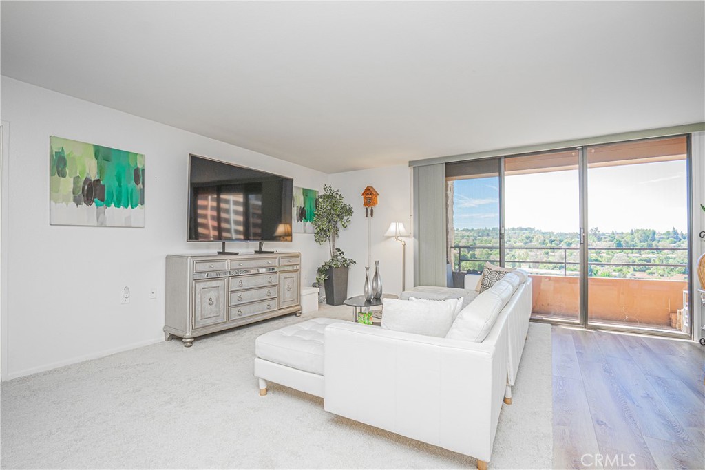 24055 Paseo Del Lago 1106