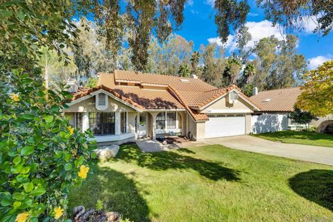 Photo of 2010 Palsero Ave Ave, Escondido, CA 92029 (MLS # 250043414SD)