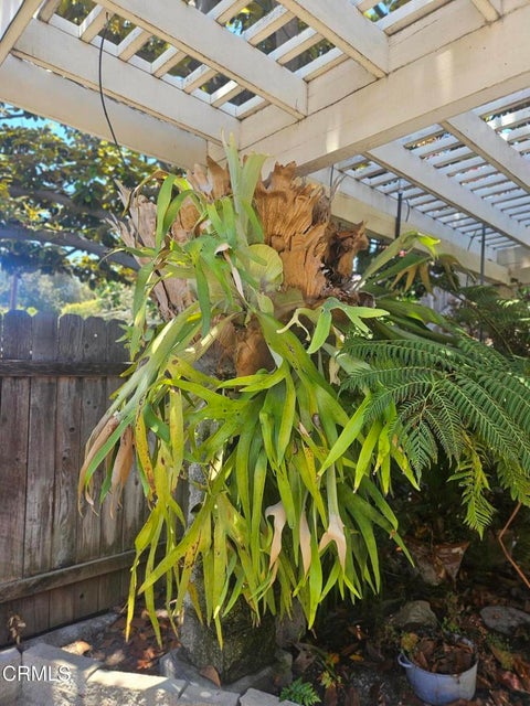 Tiny photo for 4367 Sweetbriar Street, Ventura, CA 93003 (MLS # V1-37201)