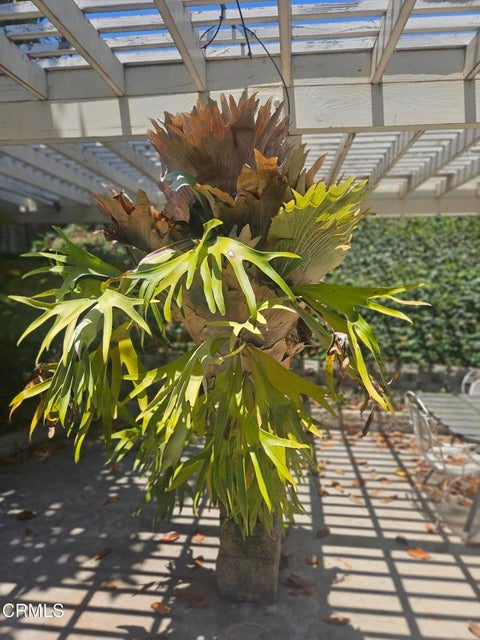 Tiny photo for 4367 Sweetbriar Street, Ventura, CA 93003 (MLS # V1-37201)