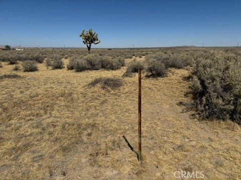 Photo of 39060 E 230th Street, Palmdale, CA 93591 (MLS # SR26202558)