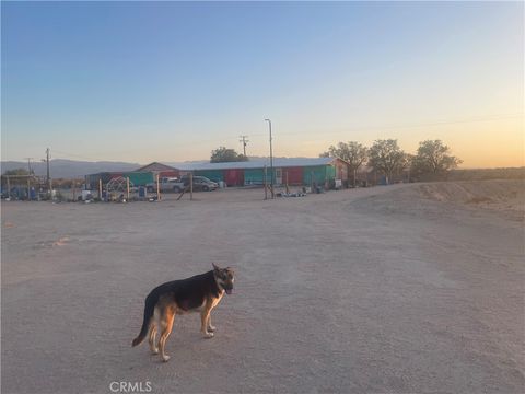 Photo of 49645 Silver Valley Road, Newberry Springs, CA 92365 (MLS # PW26127032)