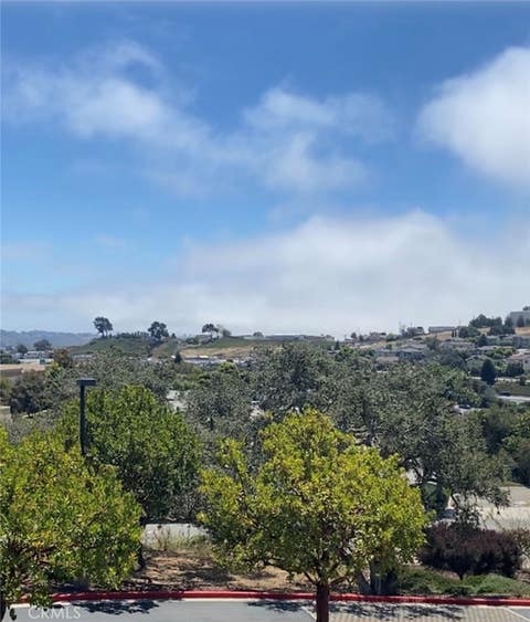 Photo of 579 Camino Mercado #212, Arroyo Grande, CA 93420 (MLS # PI26171155)