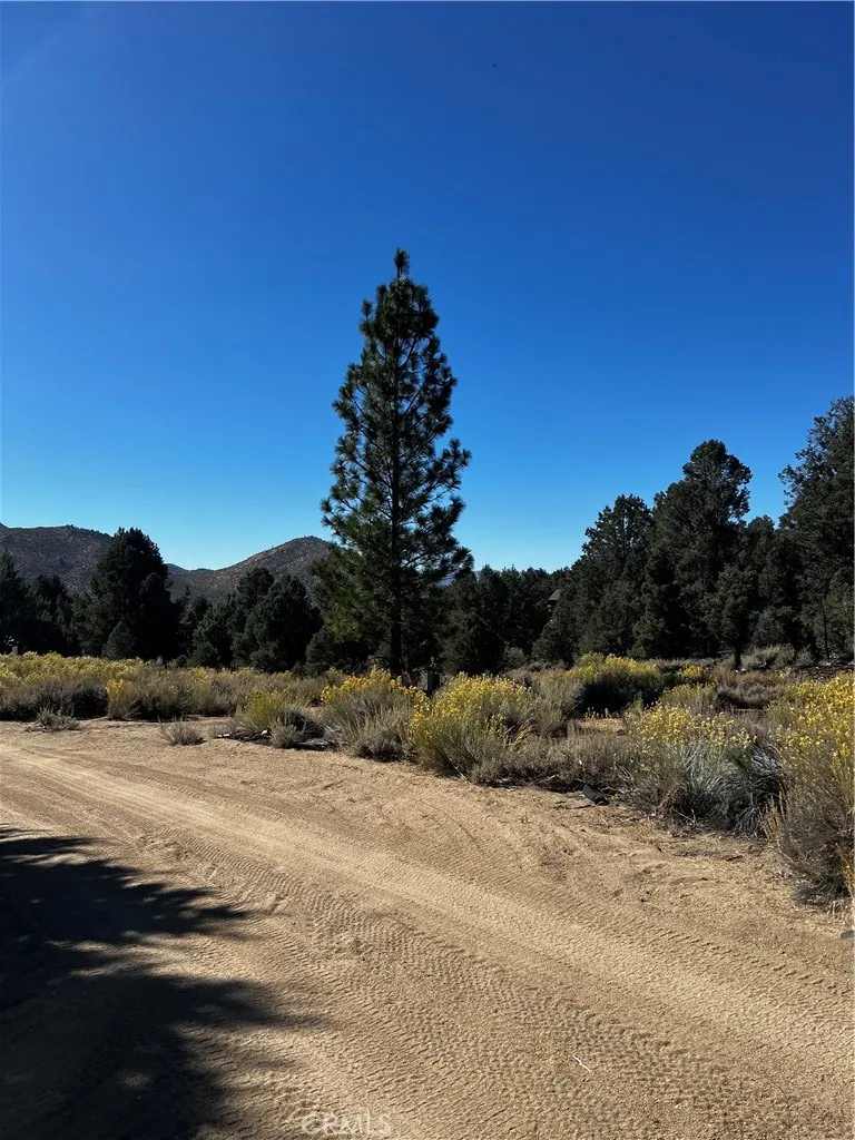 Kennedy Meadows, California 93527, United States, 1 Bedroom Bedrooms, ,1 BathroomBathrooms,Residential,Active,38171