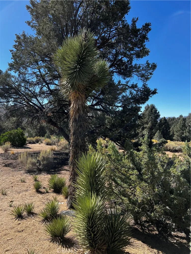 Kennedy Meadows, California 93527, United States, 1 Bedroom Bedrooms, ,1 BathroomBathrooms,Residential,Active,38171