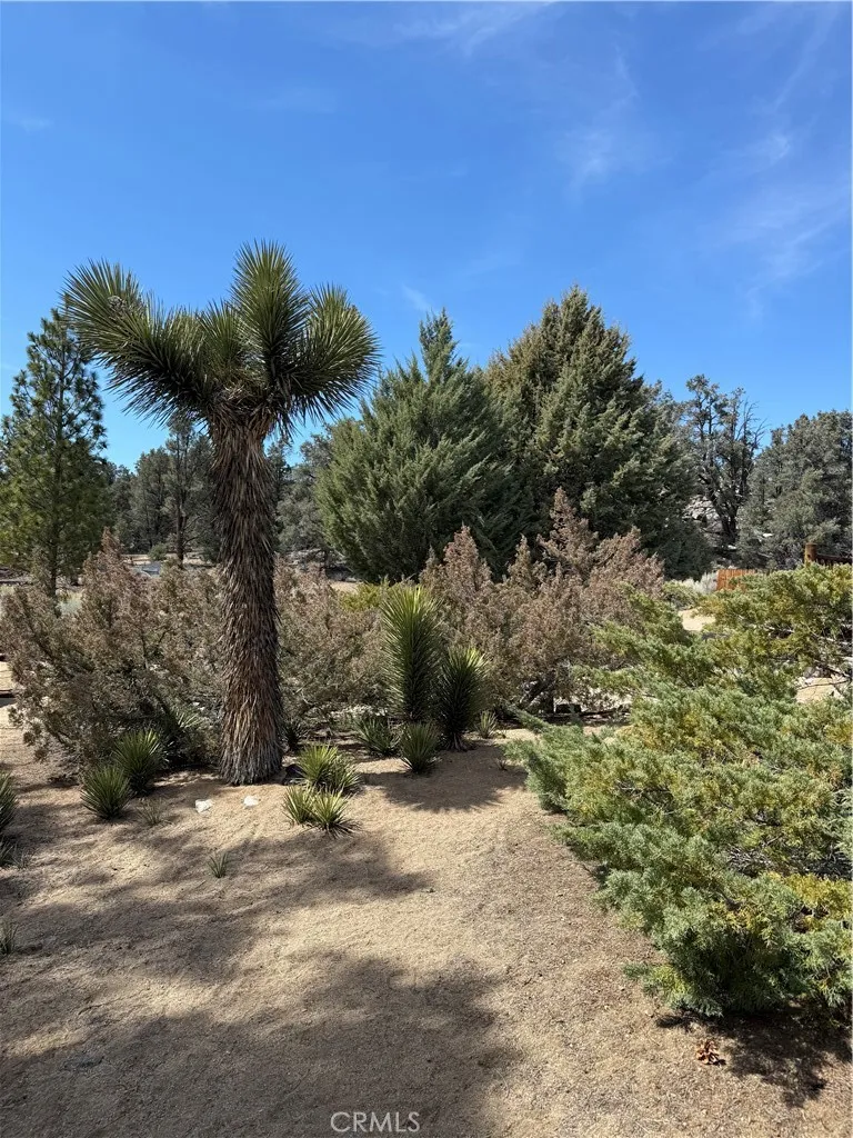 Kennedy Meadows, California 93527, United States, 1 Bedroom Bedrooms, ,1 BathroomBathrooms,Residential,Active,38171