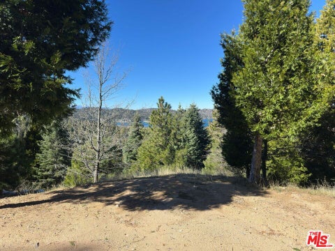 Photo of 101 Mill Pond Road, Lake Arrowhead, CA 92352 (MLS # 26866779)