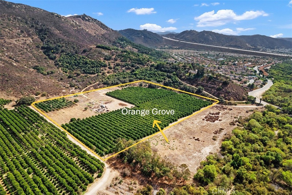 3264 SHEARER CROSSING