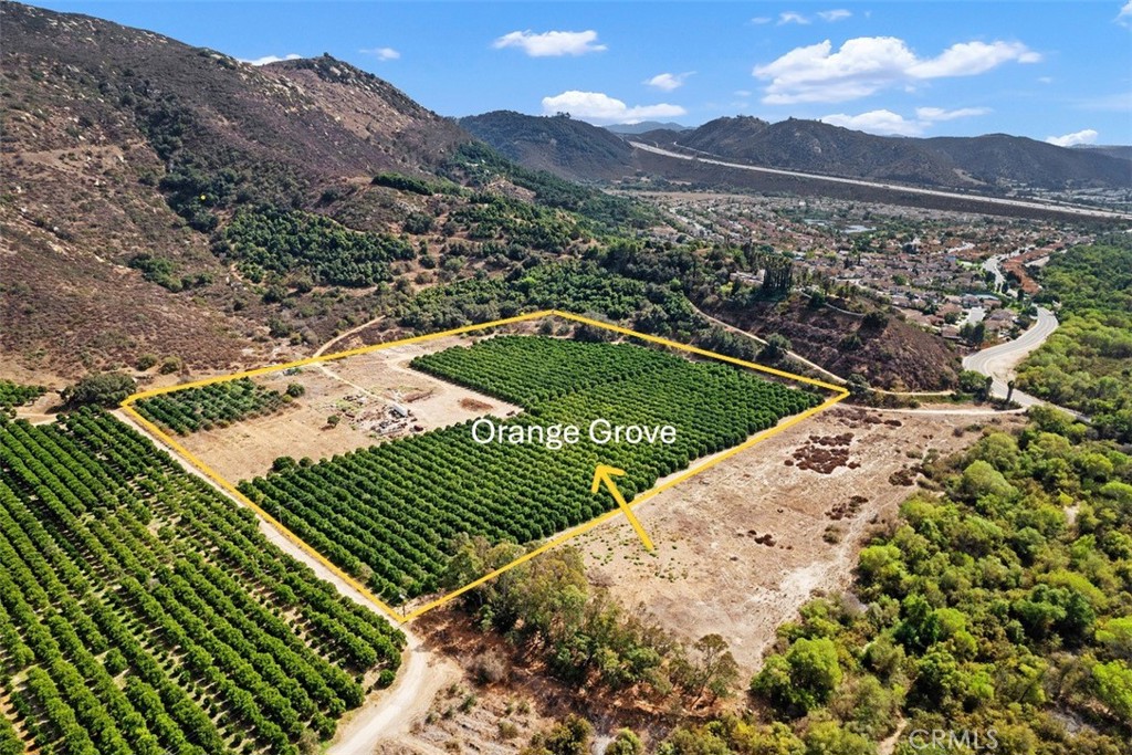 3264 SHEARER CROSSING